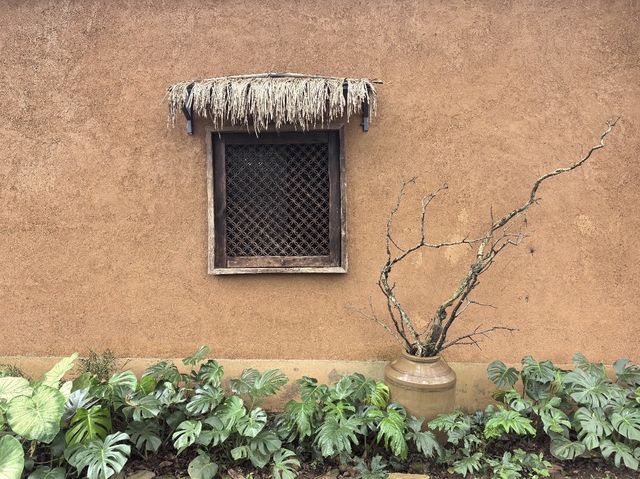 宮崎駿同款天空之城!我在哀牢山找到了神仙民宿 宮崎駿同款天空之城!我在哀牢山找到了神仙民宿