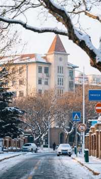 12月青島四天三晚,山海暖冬文藝行