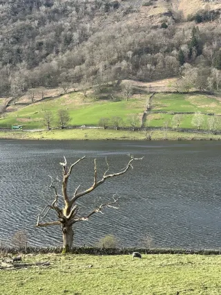 湖區遊記｜讓靈魂在此處放鬆片刻