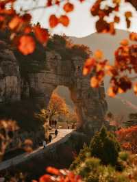 石門坊親子紅葉季！帶娃沉浸式感受秋日浪漫