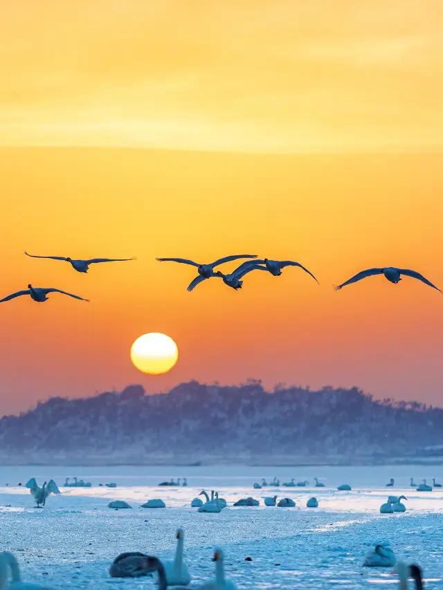 Where to go for winter break in Sanmenxia - Yuncheng is absolutely amazing!