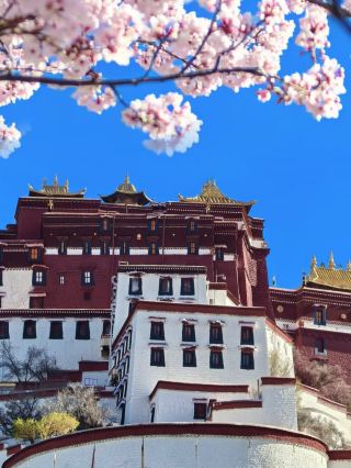 ลาซาในฤดูใบไม้ผลิ: มองขึ้นไปบนยอดเขาที่ปกคลุมด้วยหิมะ และมองลงไปที่เมืองที่คึกคัก