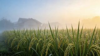 最も美しい西塘：余新から水郷の煙火の約束へ
