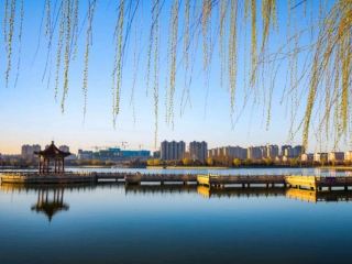 。夏津・自然と文化が融合する気軽な旅を満喫！この小さな街は、竹林でのタケノコ掘り、温泉リゾート、湖畔の散策、そして古い街道での祈願をメインテーマにしており、アウトドア体験からリラクゼーションまで、週末の小旅行のイメージを完全に覆してくれます。今回の旅のハイライトは、自分の手でタケノコを掘り、その場で調理して新鮮な味わいを楽しむこと。湖畔を散歩し、温泉でリラックス。さらに道観で祈願すれば、心身ともに満たされて帰路につけるはず！晴れた日の湖畔の小道、青空と白い雲にモダンな建築が映え、SNS映えする写真が撮れること間違いなし！