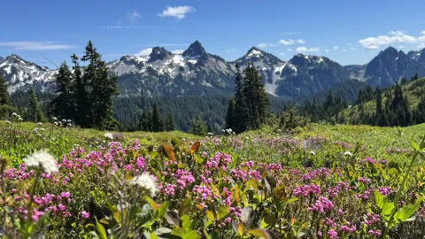 ทริปเที่ยวเมานต์เรเนียร์ (Mt. Rainier) 1 วัน — traveler post in เบลเลอวู