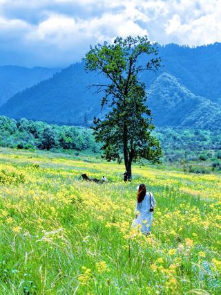 Weekend trip to Xiaochuanxi, Chengdu: two-day guide to Menghuo city and Shimian