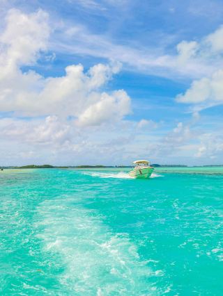 Palau travel guide | a dreamlike secret in the Pacific Ocean