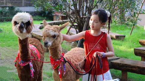 Pingyang Shunxi family day trip | Easy version is here — traveler post in Pingyang