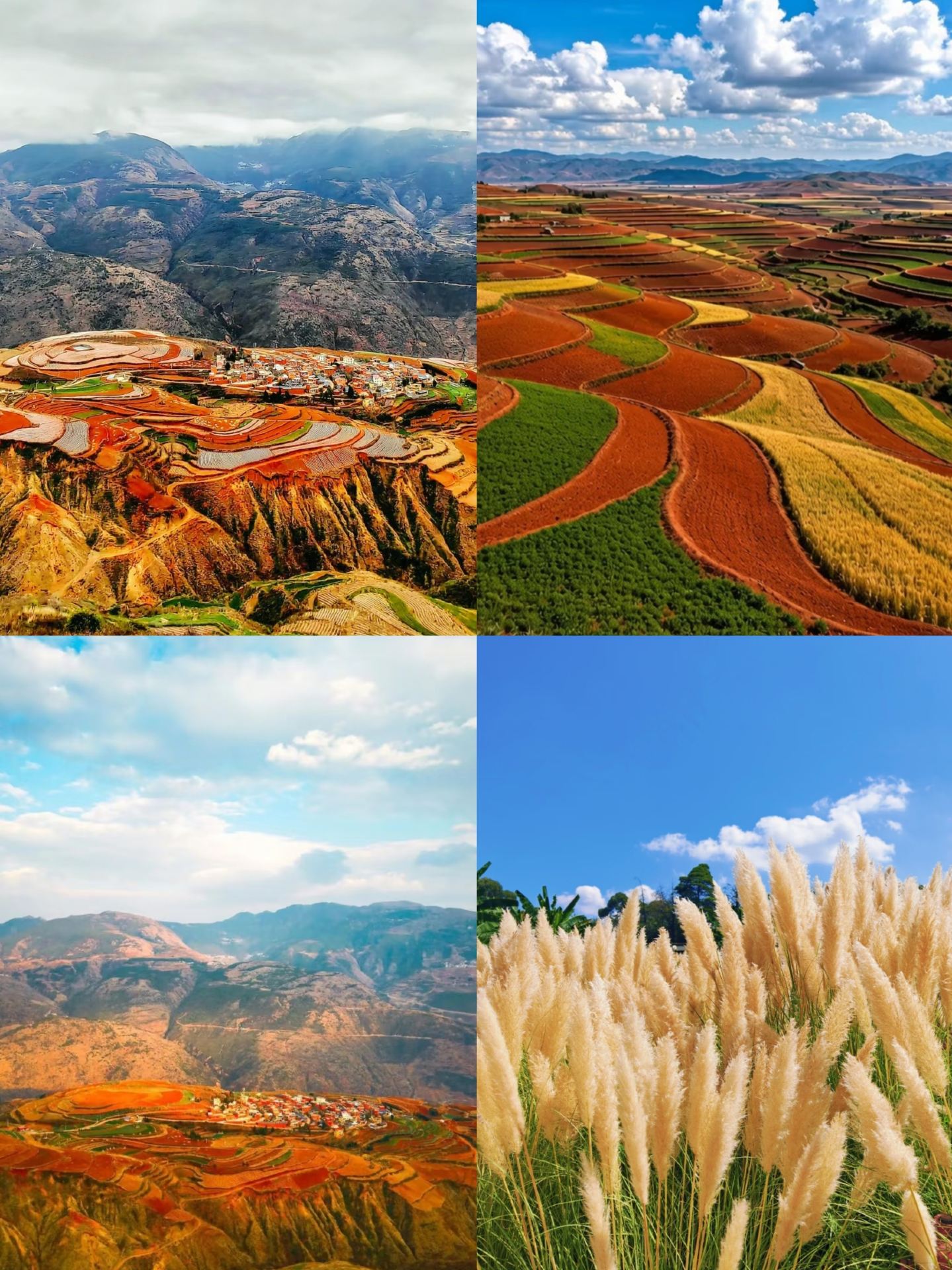 Kunming   four must-visit photo spots