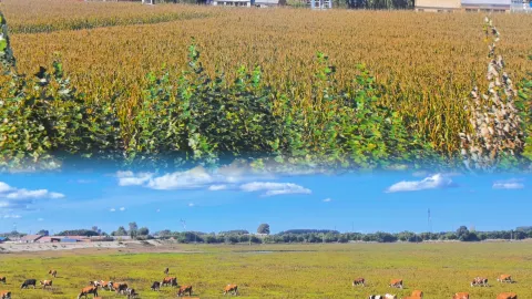 Songnen Plain | Rolling through the grasslands with Swiss rolls in sight, autumn stretches on — traveler post in Huma