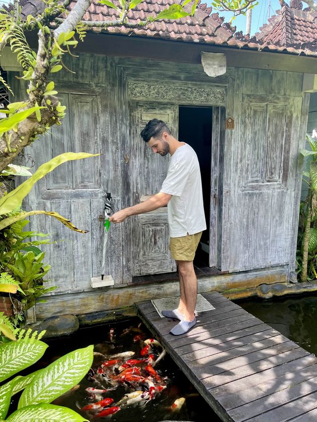 Green Taman Ubud🌿