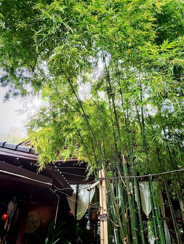 SENLAO CAFÉ at Vientiane,Laos