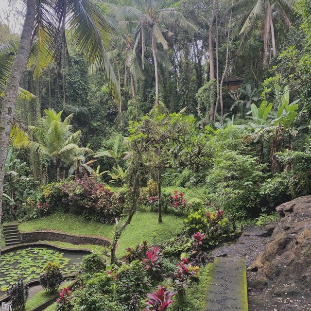 bye bye bali 