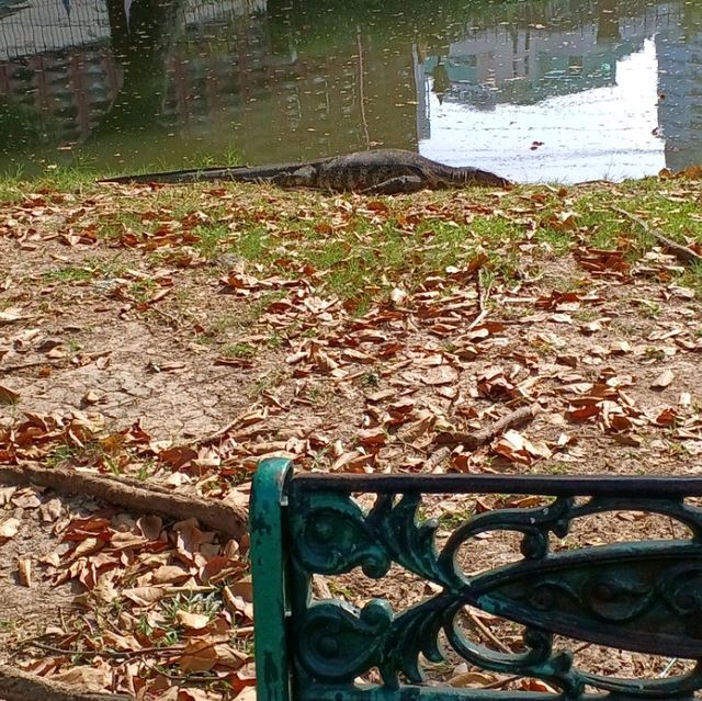 ルンピニ公園　バンコク