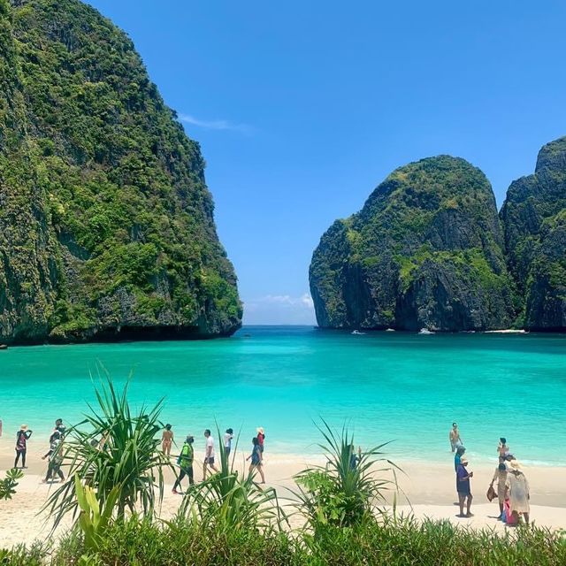 Maya Bay | อ่าวมาหยา  🌊