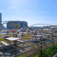 東京旅遊，豐洲公園