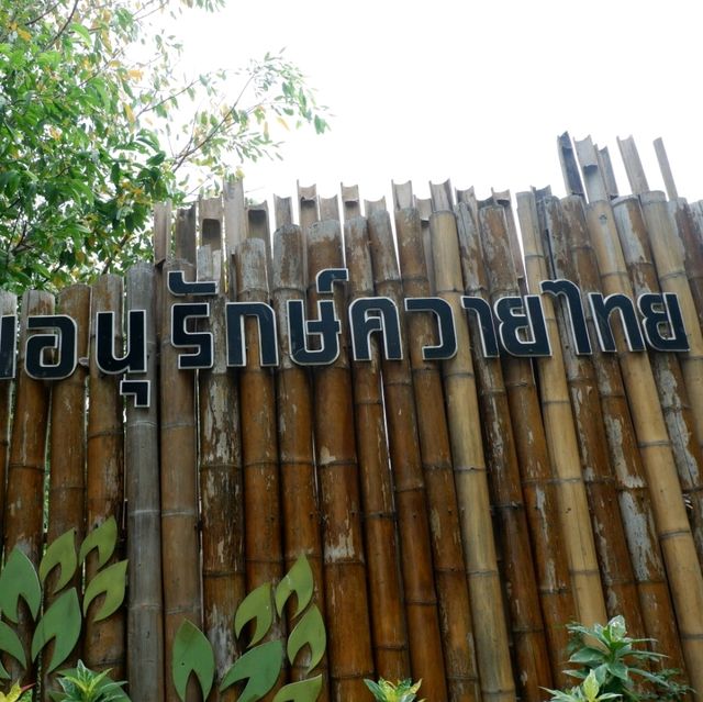 หมู่บ้านอนุรักษ์ควายไทย  🐃