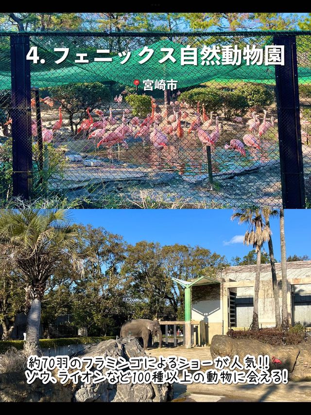 【宮崎】行ってよかった宮崎観光スポット7選🌺