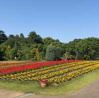 清水公園と言えば【桜】【BBQ】