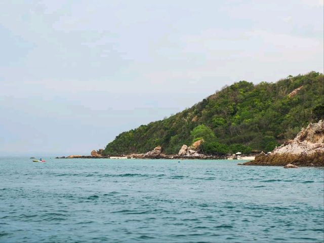 แบงค์แเดงสี่ใบมีทอน ตกหมึก + กินซาชิมิ บนเรือส่วนตัวแล้ว !!!