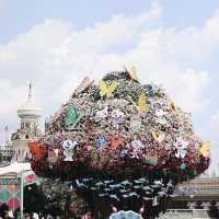 เที่ยวสวนสนุก Everland ที่ Korea 🎢🇰🇷