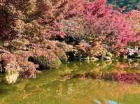 วัดคิโยะมิซุ 清水寺 หรือวัดน้ำใส 🍁⛩️