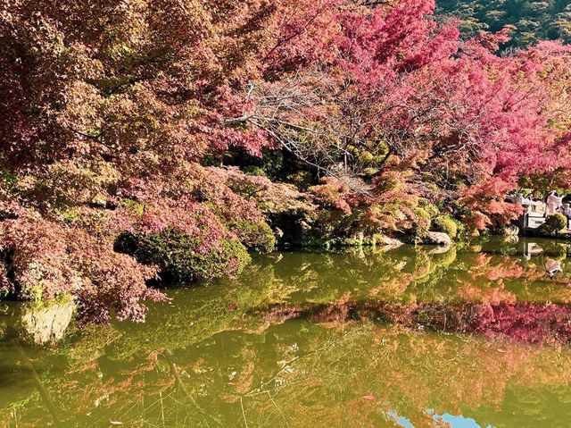 วัดคิโยะมิซุ 清水寺 หรือวัดน้ำใส 🍁⛩️