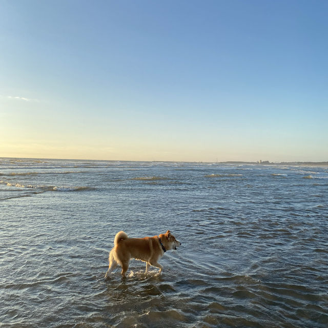 ✨永安濱海沙灘✨
