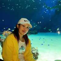 広島　マリホ水族館