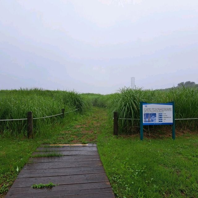 韓國景點📸天空公園🥰親親大自然⭐打卡熱點😍