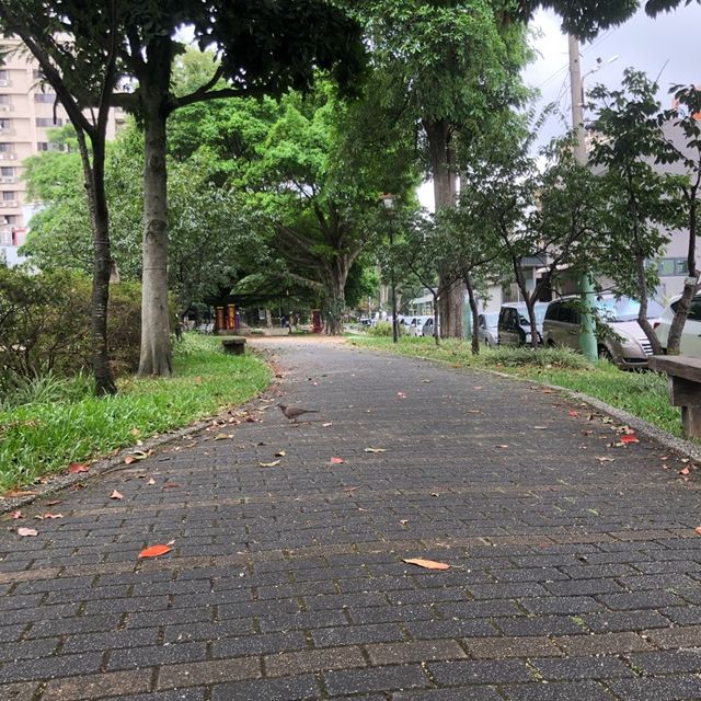 莒光環保公園