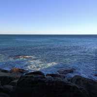 Hidden Gem in Manly 