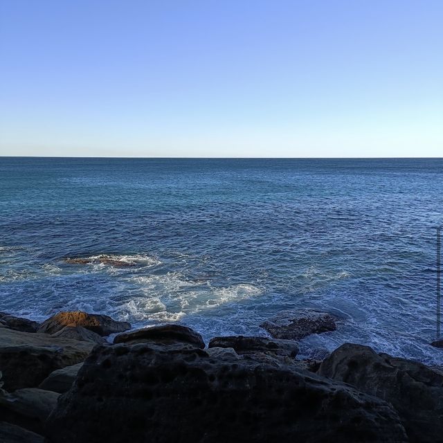 Hidden Gem in Manly 