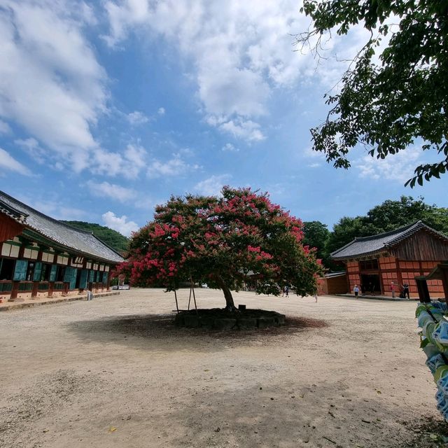 일제에서 돌아온 지장보살