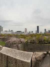 《日本大阪》大阪城天守閣