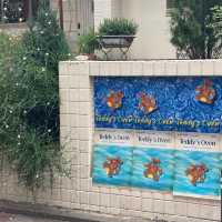 서울에서 만나는 곰돌이 디저트 성수 테디스오븐