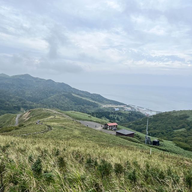 【北海道】礼文島を訪れたら楽しみたいハイキング