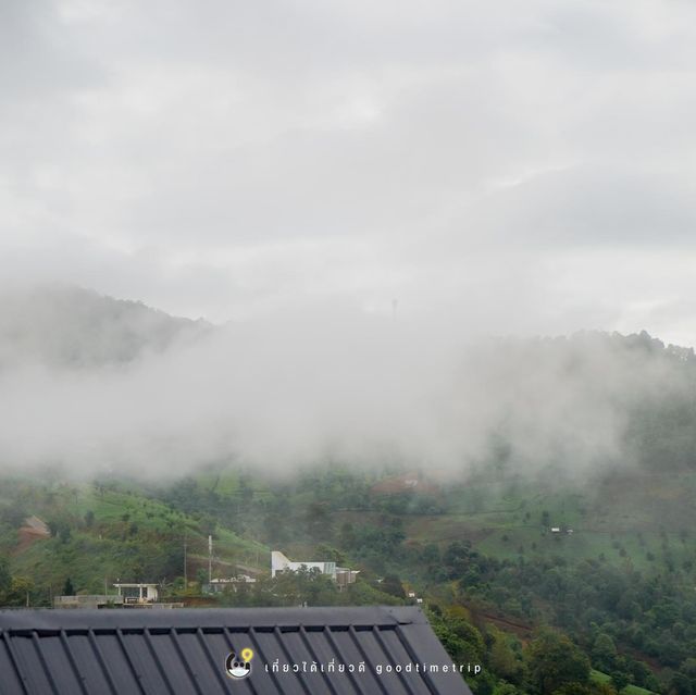 ธรรมชาติโอมกอดที่  Arroon #ดอยช้าง ⛰เชียงราย 