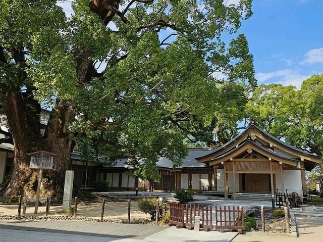 Fukuoka at First Glance