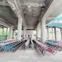 🇰🇷 Bicycle rental Ttukseom Hangang Park