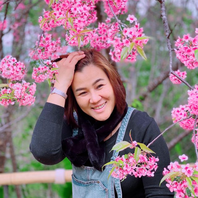 ขุนวาง