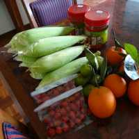 Agrarian Delights of Cameron Highlands Market