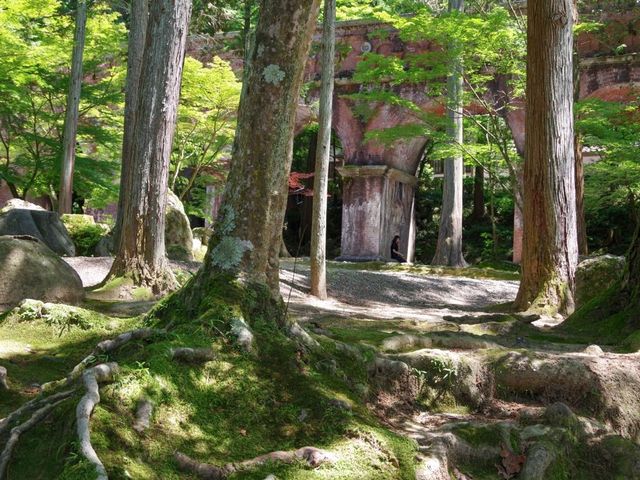 【京都市】新緑の水路閣も美しい✨