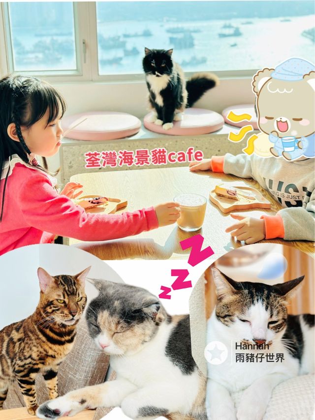 海景貓cafe