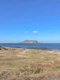 성산일출봉을 한눈에 볼 수 있는 곳, 섭지코지🌿