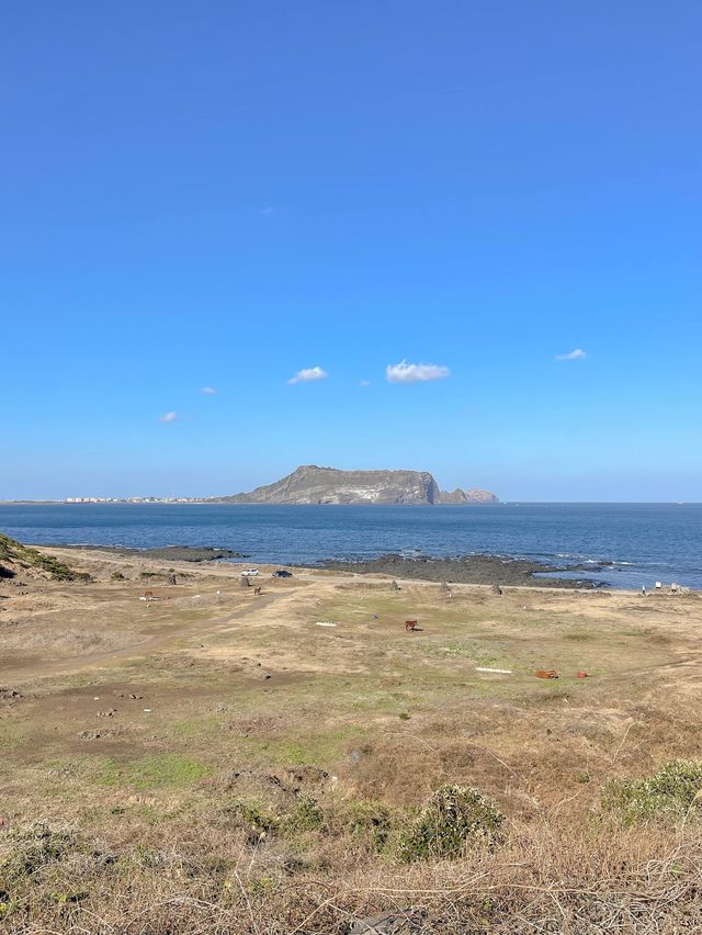 성산일출봉을 한눈에 볼 수 있는 곳, 섭지코지🌿