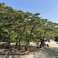 慶州景點-UNESCO世界文化遺產-佛國寺