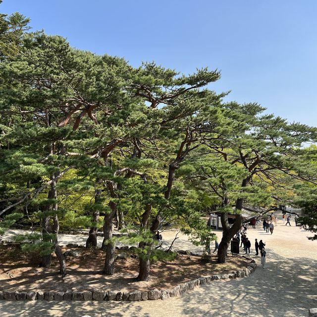 慶州景點-UNESCO世界文化遺產-佛國寺