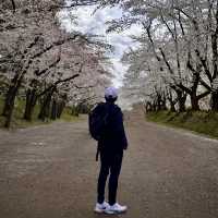 Hirosaki Castle!! 