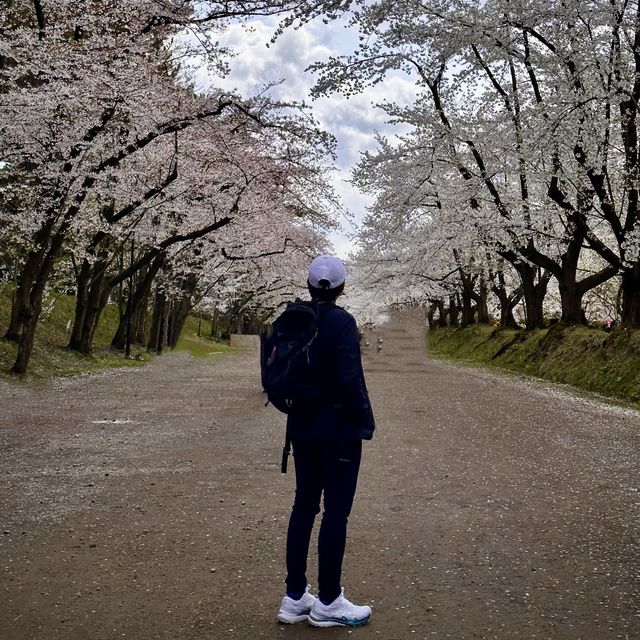 Hirosaki Castle!! 